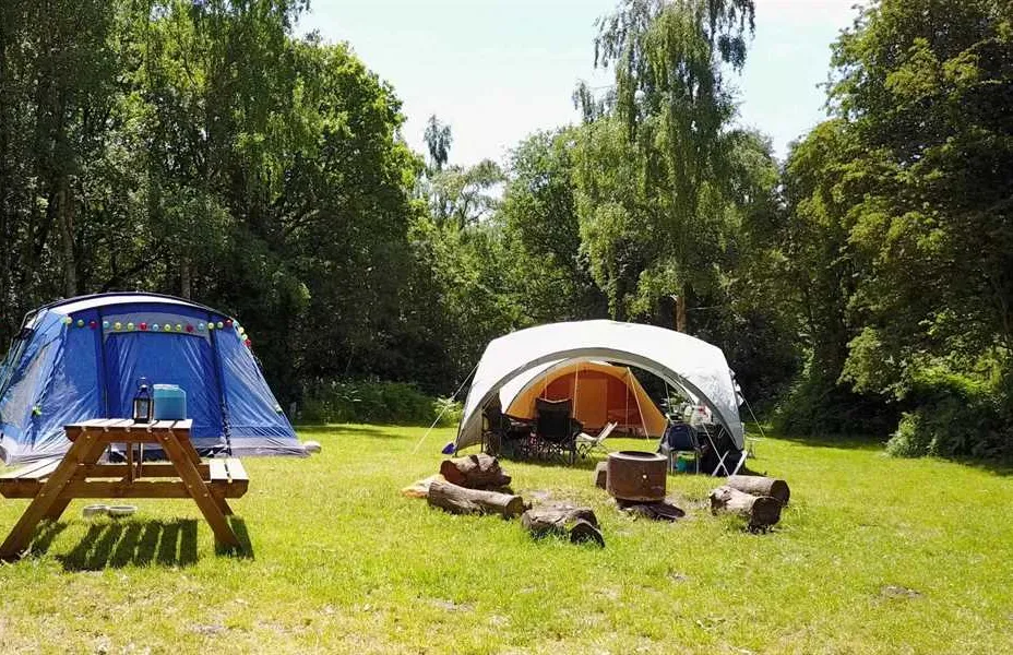 dreamy-hollow-woodland-campsite-and-ww1-trenches-kings-lynn-hkgzf