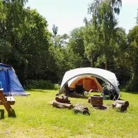 dreamy-hollow-woodland-campsite-and-ww1-trenches-kings-lynn-hkgzf