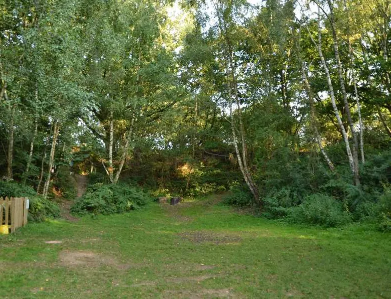dreamy-hollow-woodland-campsite-and-ww1-trenches-kings-lynn-hw6jc