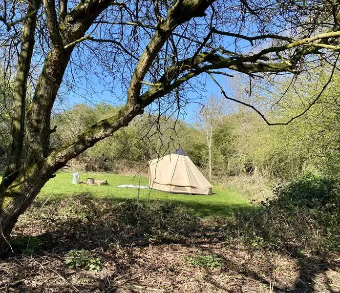 dreamy-hollow-woodland-campsite-and-ww1-trenches-kings-lynn-i5gos