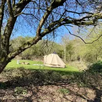 dreamy-hollow-woodland-campsite-and-ww1-trenches-kings-lynn-i5gos