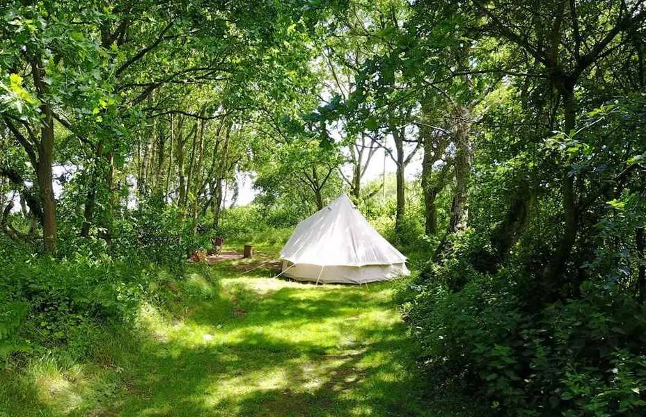 dreamy-hollow-woodland-campsite-and-ww1-trenches-kings-lynn-jyr0b