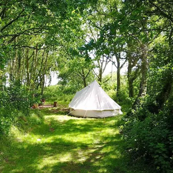 Dreamy Hollow Woodland Campsite and WW1 Trenches