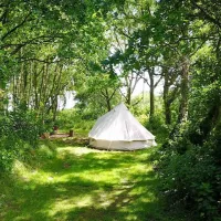Dreamy Hollow Woodland Campsite and WW1 Trenches