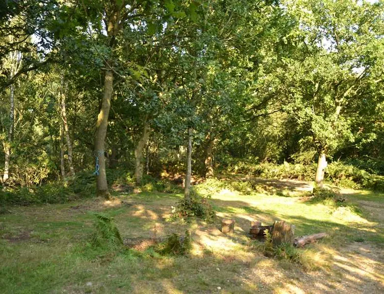 dreamy-hollow-woodland-campsite-and-ww1-trenches-kings-lynn-lrkwd