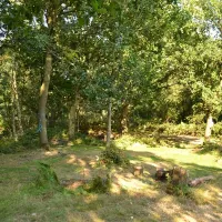 dreamy-hollow-woodland-campsite-and-ww1-trenches-kings-lynn-lrkwd