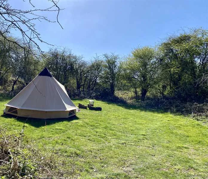 dreamy-hollow-woodland-campsite-and-ww1-trenches-kings-lynn-naq71