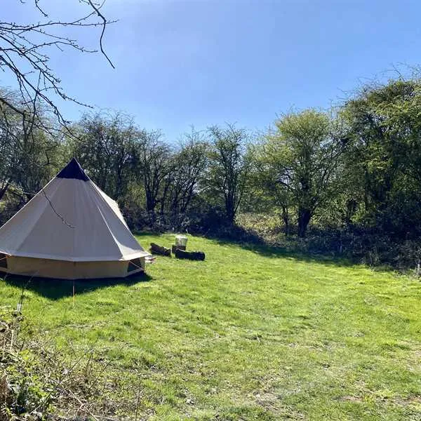 dreamy-hollow-woodland-campsite-and-ww1-trenches-kings-lynn-naq71