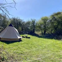 dreamy-hollow-woodland-campsite-and-ww1-trenches-kings-lynn-naq71