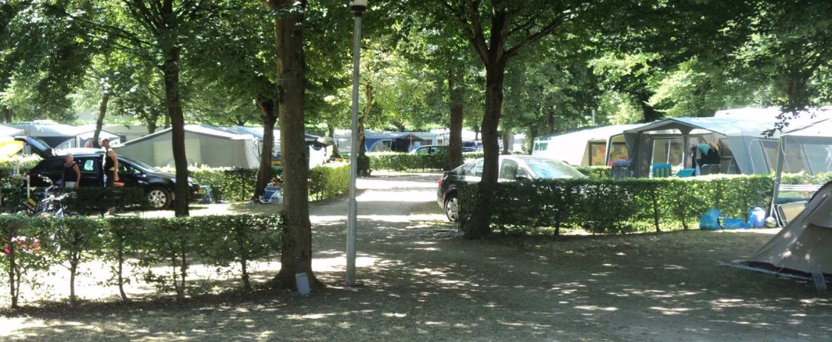La Plaine Tonique