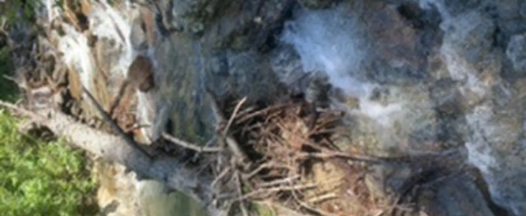 Gran Paradiso
