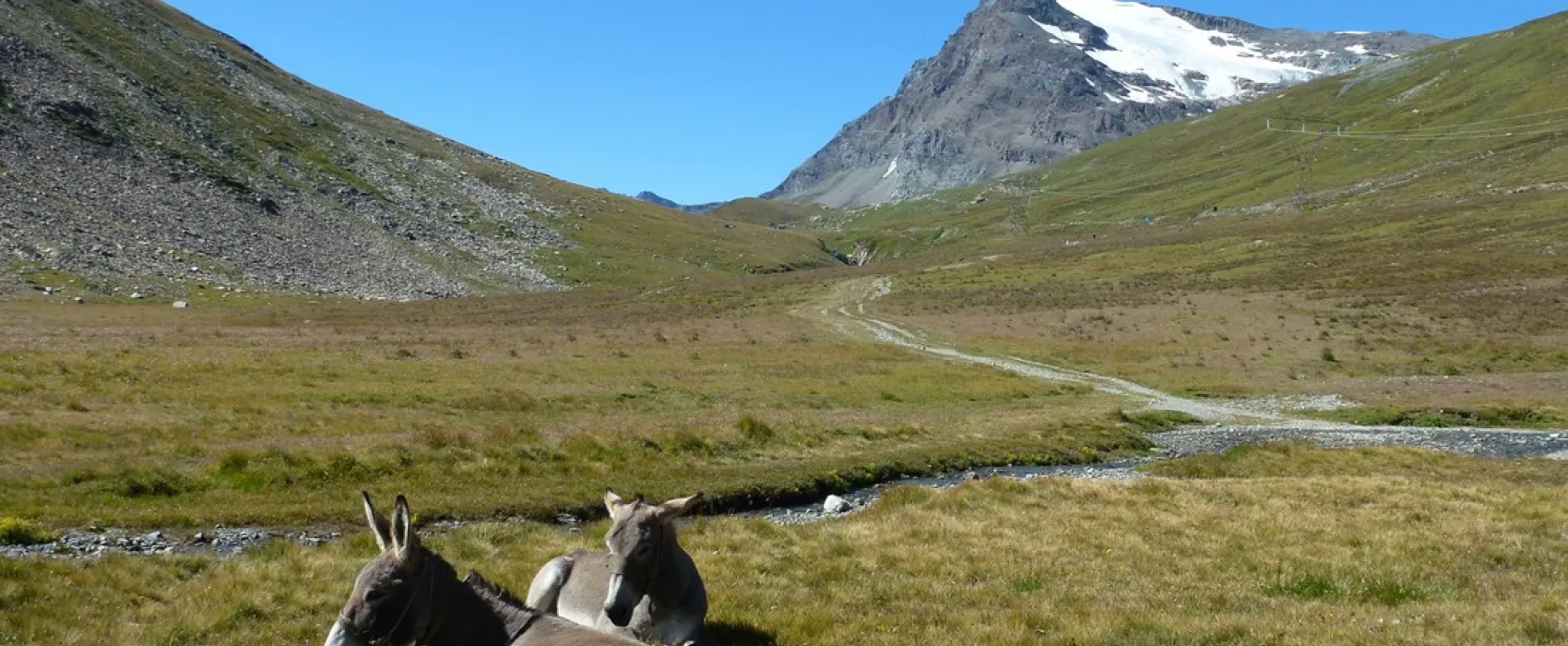 Gran Paradiso