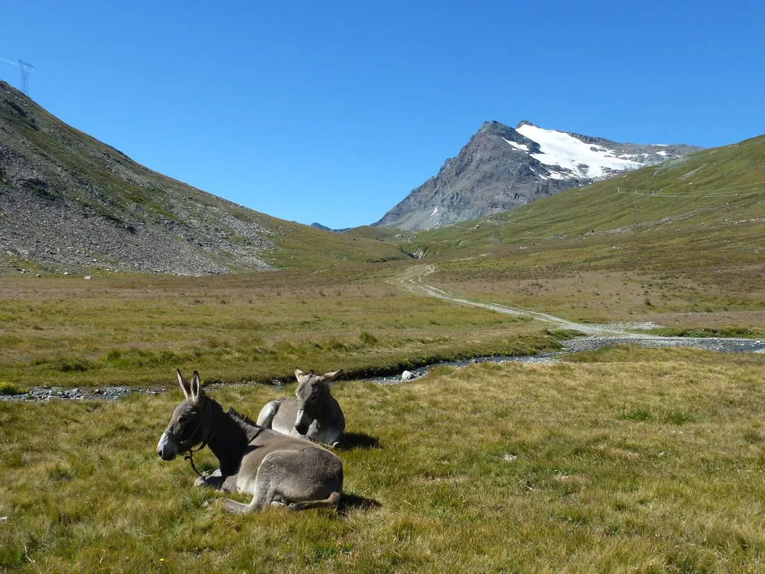 gran-paradiso-valsavarenche-nsd4h