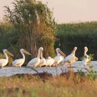 slow-motion-danube-delta-sulina-city-iajsz