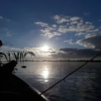 slow-motion-danube-delta-sulina-city-ojz4l