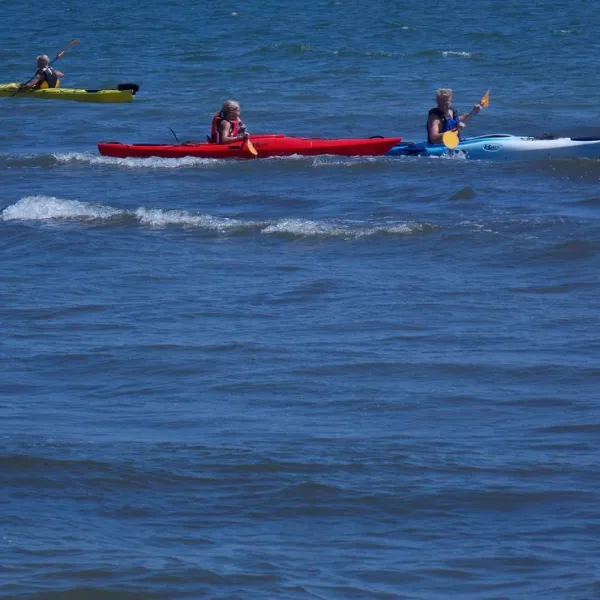 slow-motion-danube-delta-sulina-city-pslb6