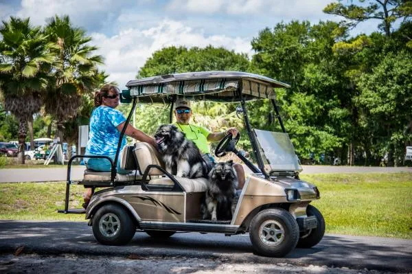 wekiva-falls-rv-resort-sorrento-h0wqy