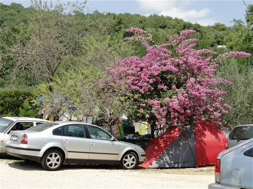 camping-zlokovic-bijela-lum1e