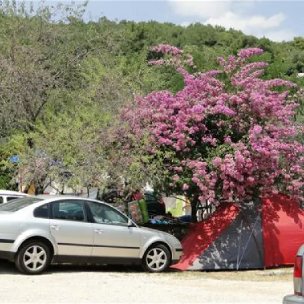 camping-zlokovic-bijela-lum1e