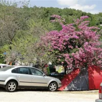 camping-zlokovic-bijela-lum1e