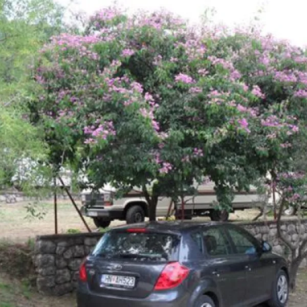 camping-zlokovic-bijela-u08ec