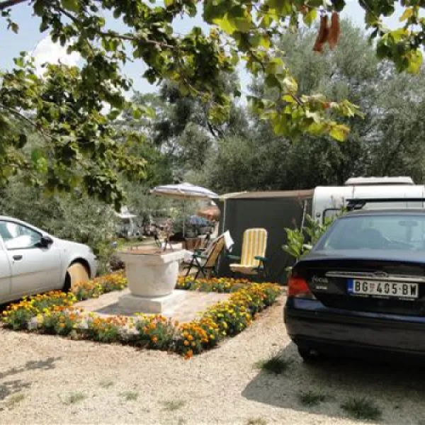 camping-zlokovic-bijela-yxofu