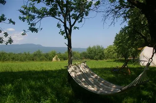 babou-maramures-breb-3r6ro