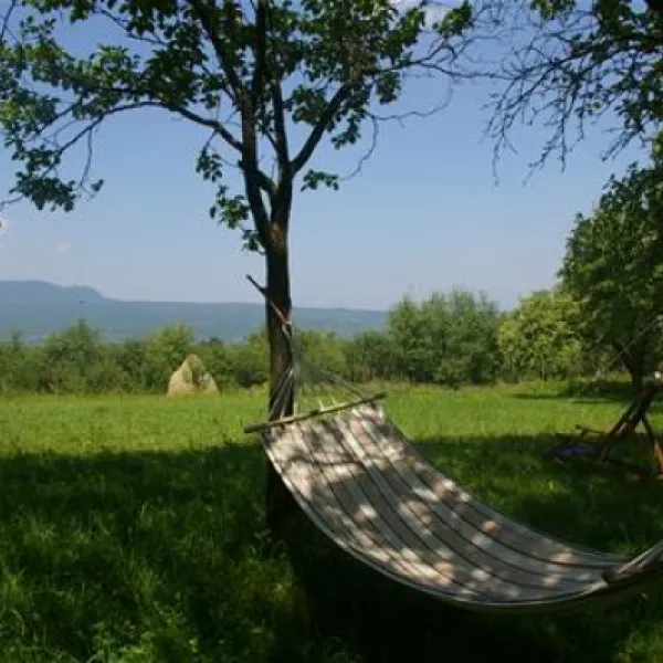 babou-maramures-breb-3r6ro