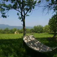 babou-maramures-breb-3r6ro