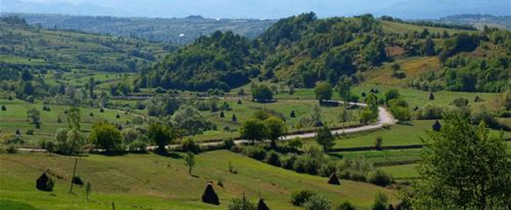 Babou Maramures