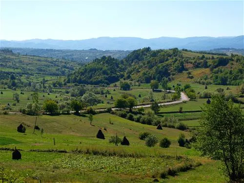 babou-maramures-breb-aki8w
