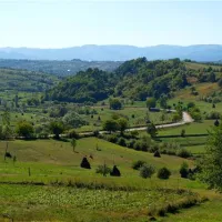 babou-maramures-breb-aki8w