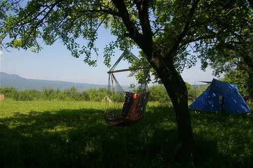 babou-maramures-breb-fi63m