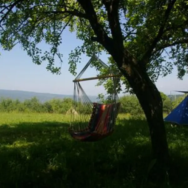 babou-maramures-breb-fi63m