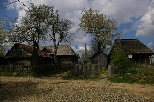 babou-maramures-breb-gd0rc
