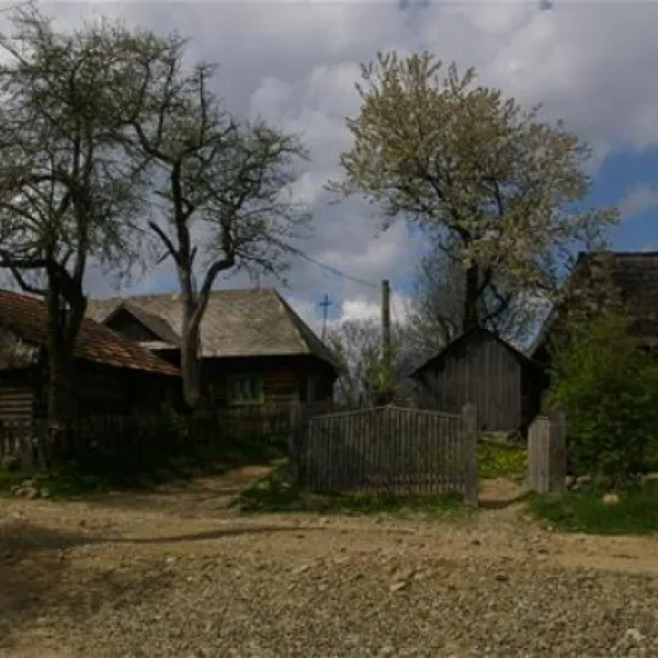 babou-maramures-breb-gd0rc
