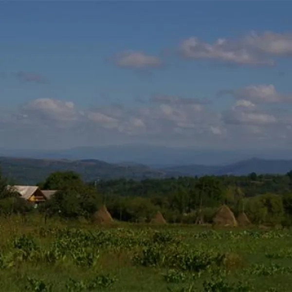 babou-maramures-breb-giwwh
