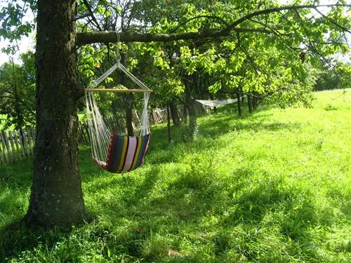 babou-maramures-breb-onsei