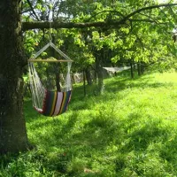 babou-maramures-breb-onsei