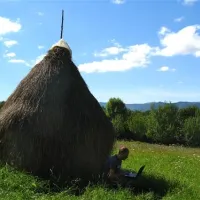 babou-maramures-breb-ow0q5
