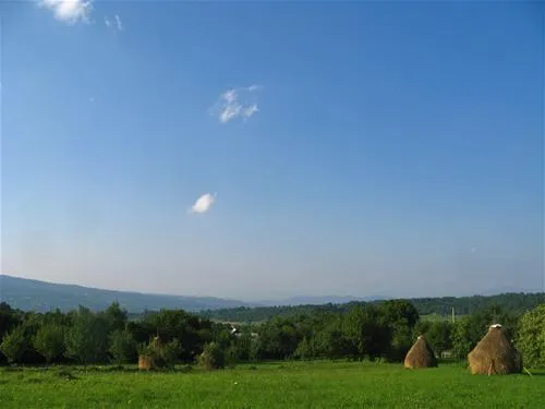 babou-maramures-breb-pel6s