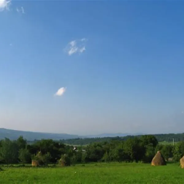 babou-maramures-breb-pel6s