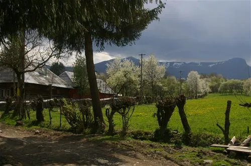 babou-maramures-breb-qqksw