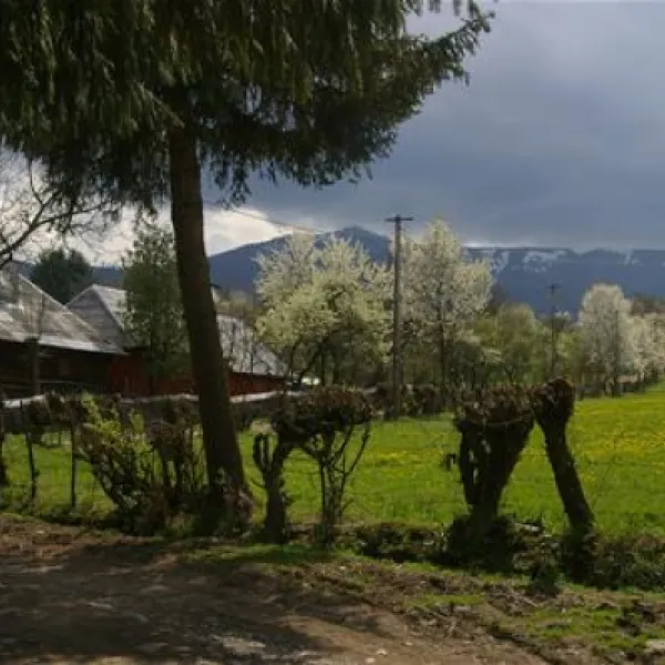 babou-maramures-breb-qqksw