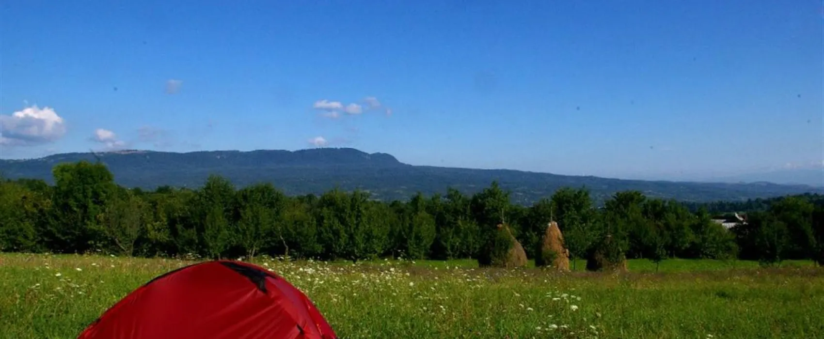 Babou Maramures