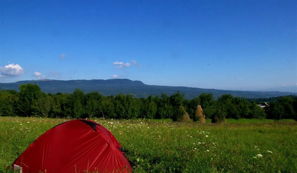 babou-maramures-breb-t82ba