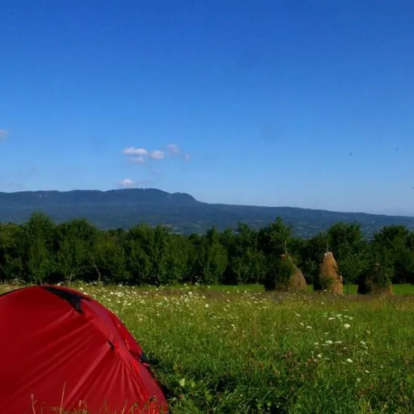 babou-maramures-breb-t82ba