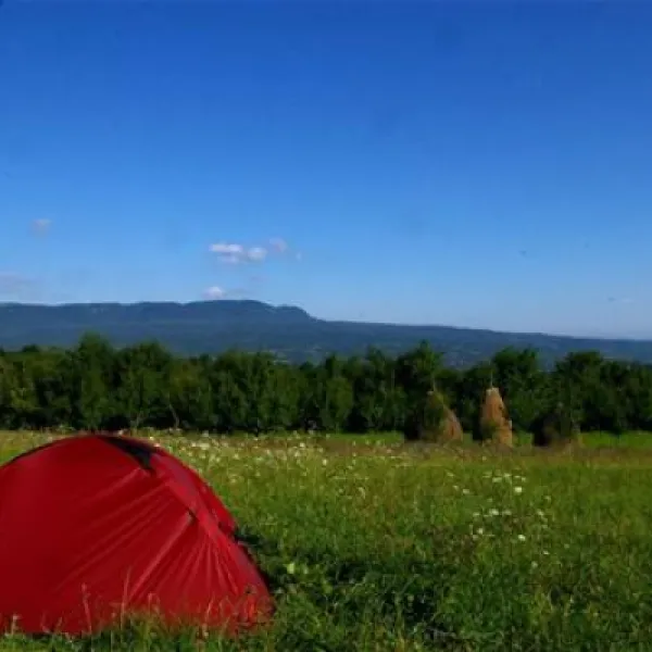 babou-maramures-breb-vdruv