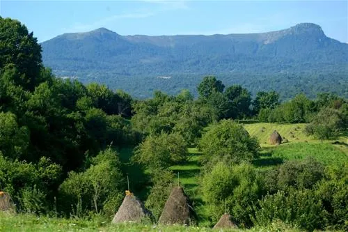 babou-maramures-breb-vznpe