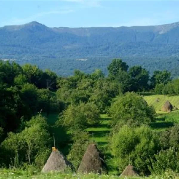 babou-maramures-breb-vznpe